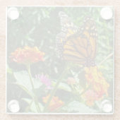 (昆虫)オオカバマダラ、モナークバタフライフォトブライトフラワーズ自然 ガラスコースター (裏面)