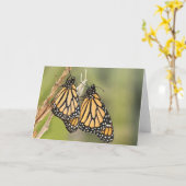 （昆虫）オオカバマダラ、モナークバタフライフレンドグリーティングカード カード (黄色い花)
