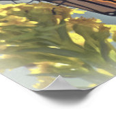 （昆虫）オオカバマダラ、モナークバタフライプリント ポスター (角)