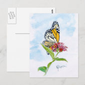 （昆虫）オオカバマダラ、モナークバタフライポストカード ポストカード (正面/裏面)