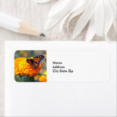 （昆虫）オオカバマダラ、モナークバタフライマリゴールド写真 ラベル (インサイチュ)