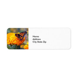 （昆虫）オオカバマダラ、モナークバタフライマリゴールド写真 ラベル