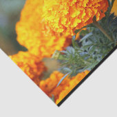 （昆虫）オオカバマダラ、モナークバタフライマリゴールド写真 薄葉紙 (詳細)