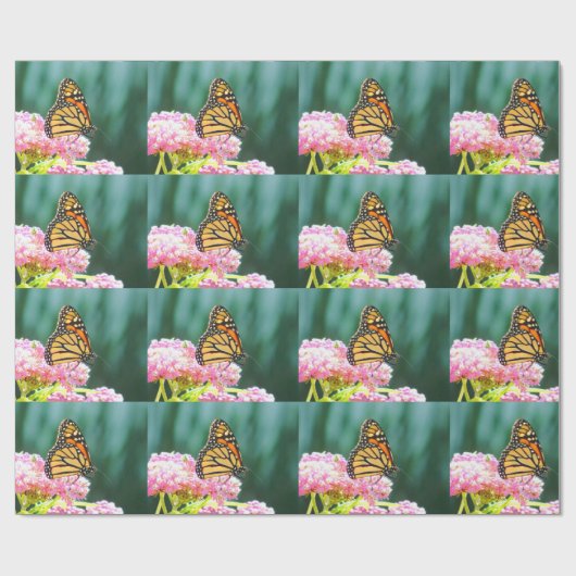 （昆虫）オオカバマダラ、モナークバタフライ美しい包装紙 ラッピングペーパー (フラット)