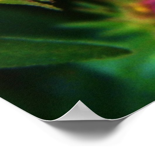 (昆虫)オオカバマダラ、モナークバタフライ、アスターのポスター ポスター (角)