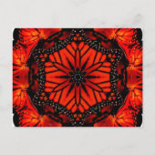 （昆虫）オオカバマダラ、モナークバタフライ&カリフォルニアポピー – はがき (正面)