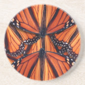 (昆虫)オオカバマダラ、モナークバタフライ コースター (正面)