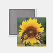 (昆虫)オオカバマダラ、モナークバターフィズオンサンフラワー マグネット (正面/裏面)