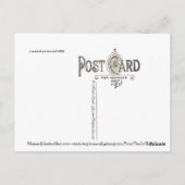 （昆虫）オオカバマダラ、モナークバターフィー – はがき (裏面)