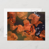 （昆虫）オオカバマダラ、モナークモーメント ポストカード (正面/裏面)