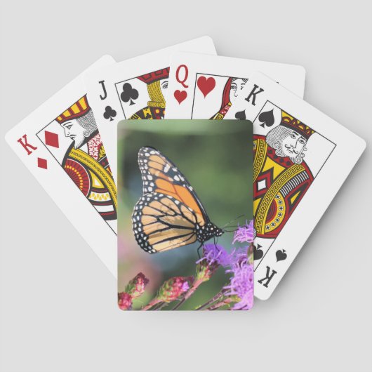 （昆虫）オオカバマダラ、モナークランチ トランプ (裏面)