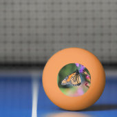 （昆虫）オオカバマダラ、モナークランチ 卓球ボール (ネット)
