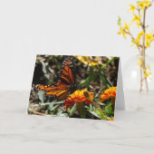 （昆虫）オオカバマダラ、モナーク及びマリーゴールド カード (黄色い花)
