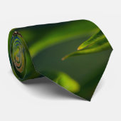 (昆虫)オオカバマダラ、モナーク及びミルクウィードネックタイ ネクタイ (ロール)