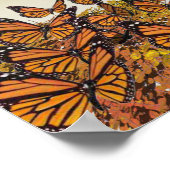 (昆虫)オオカバマダラ、モナーク収集 ポスター (角)