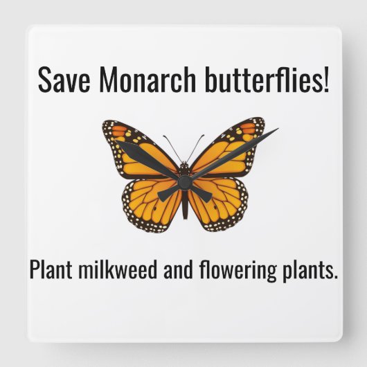 (昆虫)オオカバマダラ、モナーク四角時計 スクエア壁時計 (正面)