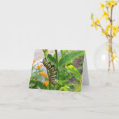 （昆虫）オオカバマダラ、モナーク毛虫 カード (黄色い花)