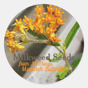 (昆虫)オオカバマダラ、モナーク毛虫 ラウンドシール