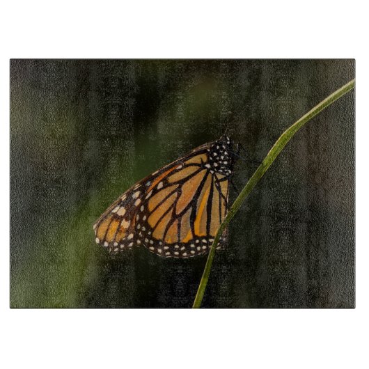 (昆虫)オオカバマダラ、モナーク照明 カッティングボード (正面)