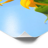 (昆虫)オオカバマダラ、モナーク蝶がヒマワリ フォトプリント            (角)