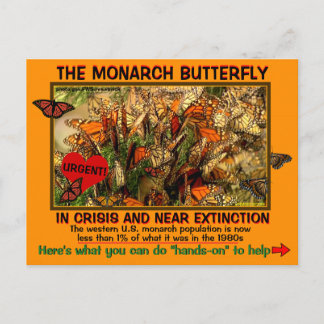 （昆虫）オオカバマダラ、モナーク蝶が危険にさらされている方法救済- ポストカード
