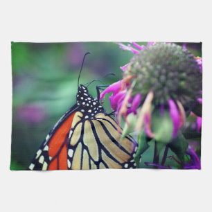 (昆虫)オオカバマダラ、モナーク蝶が花を閉じる キッチンタオル