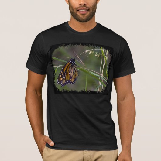 (昆虫)オオカバマダラ、モナーク蝶が草の黒いエッジに Tシャツ (正面)