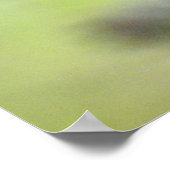 (昆虫)オオカバマダラ、モナーク蝶が蜜の上でスナック – 写真のポスター ポスター (角)