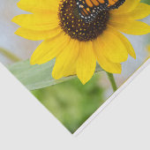 (昆虫)オオカバマダラ、モナーク蝶とヒマワリ 薄葉紙 (詳細)