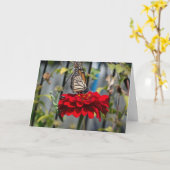 (昆虫)オオカバマダラ、モナーク蝶と祈マンチスオンレッド《植物》百日草 カード (黄色い花)