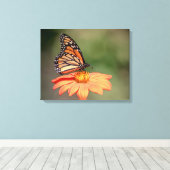 (昆虫)オオカバマダラ、モナーク蝶のオレンジの花 キャンバスプリント (インサイチュ (ウッドフロア))