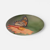 （昆虫）オオカバマダラ、モナーク蝶のオレンジの花 ペーパープレート (アングル)