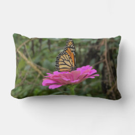 （昆虫）オオカバマダラ、モナーク蝶のピンクかわいらしの《植物》百日草の花 ランバークッション