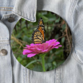 （昆虫）オオカバマダラ、モナーク蝶のピンクかわいらしの《植物》百日草の花 缶バッジ (インサイチュ)