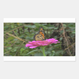（昆虫）オオカバマダラ、モナーク蝶のピンクかわいらしの《植物》百日草の花 長方形シール