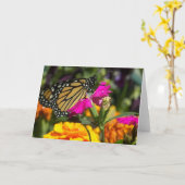 (昆虫)オオカバマダラ、モナーク蝶のピンクのマリゴールドのグリーティングカード カード (黄色い花)