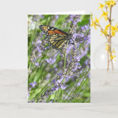 (昆虫)オオカバマダラ、モナーク蝶のラベンダーフィールド空白の カード (黄色い花)