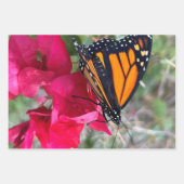 （昆虫）オオカバマダラ、モナーク蝶の包み紙 ラッピングペーパーシート (正面3)