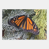 （昆虫）オオカバマダラ、モナーク蝶の包み紙 ラッピングペーパーシート (正面)