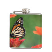 （昆虫）オオカバマダラ、モナーク蝶の受粉 フラスク (正面)