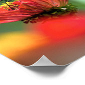 （昆虫）オオカバマダラ、モナーク蝶の受粉 ポスター (角)