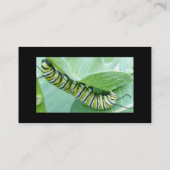 （昆虫）オオカバマダラ、モナーク蝶の名刺 名刺 (裏面)