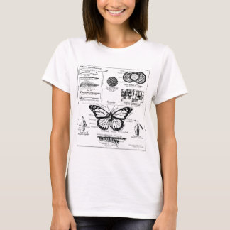 （昆虫）オオカバマダラ、モナーク蝶の情報 Tシャツ