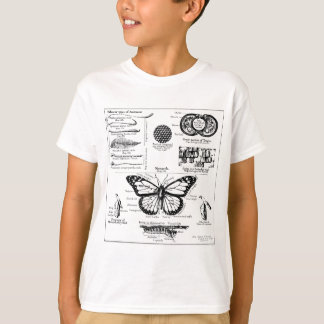 （昆虫）オオカバマダラ、モナーク蝶の情報 Tシャツ