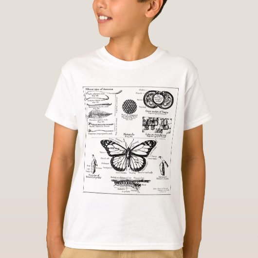 （昆虫）オオカバマダラ、モナーク蝶の情報 Tシャツ (正面)
