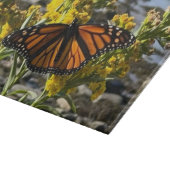 (昆虫)オオカバマダラ、モナーク蝶の花の水辺自然 カッティングボード (角)
