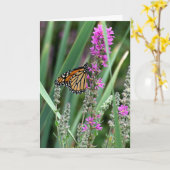 (昆虫)オオカバマダラ、モナーク蝶の花 カード (黄色い花)