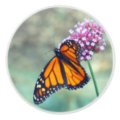 （昆虫）オオカバマダラ、モナーク蝶の花 セラミックノブ (正面)