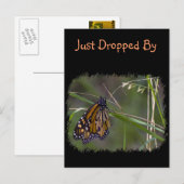 （昆虫）オオカバマダラ、モナーク蝶の花 ポストカード (正面/裏面)