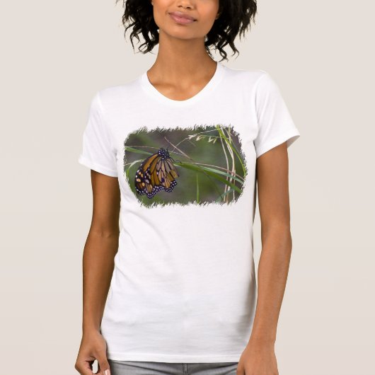 (昆虫)オオカバマダラ、モナーク蝶の草白い縁 Tシャツ (正面)